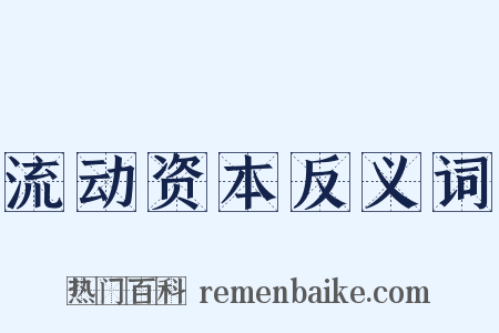 流动资本反义词是什么意思的图片